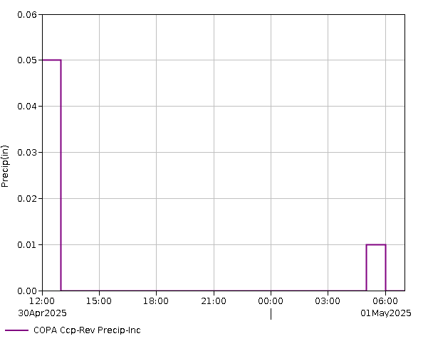 24 Hour - Precip