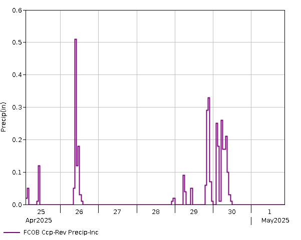 7 Day - Precip