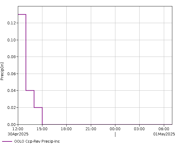 24 Hour - Precip